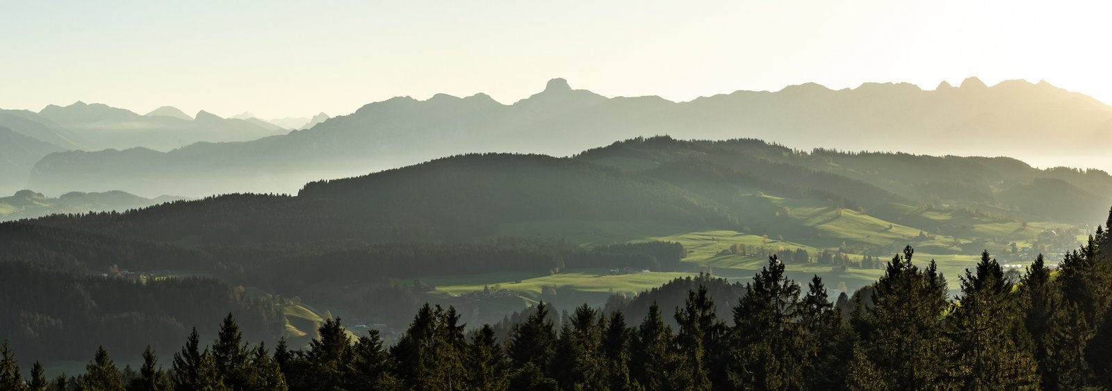 Grüne Hügellandschaft mit Wäldern und Wiesen vor einer Bergkette im warmen Sonnenlicht.
