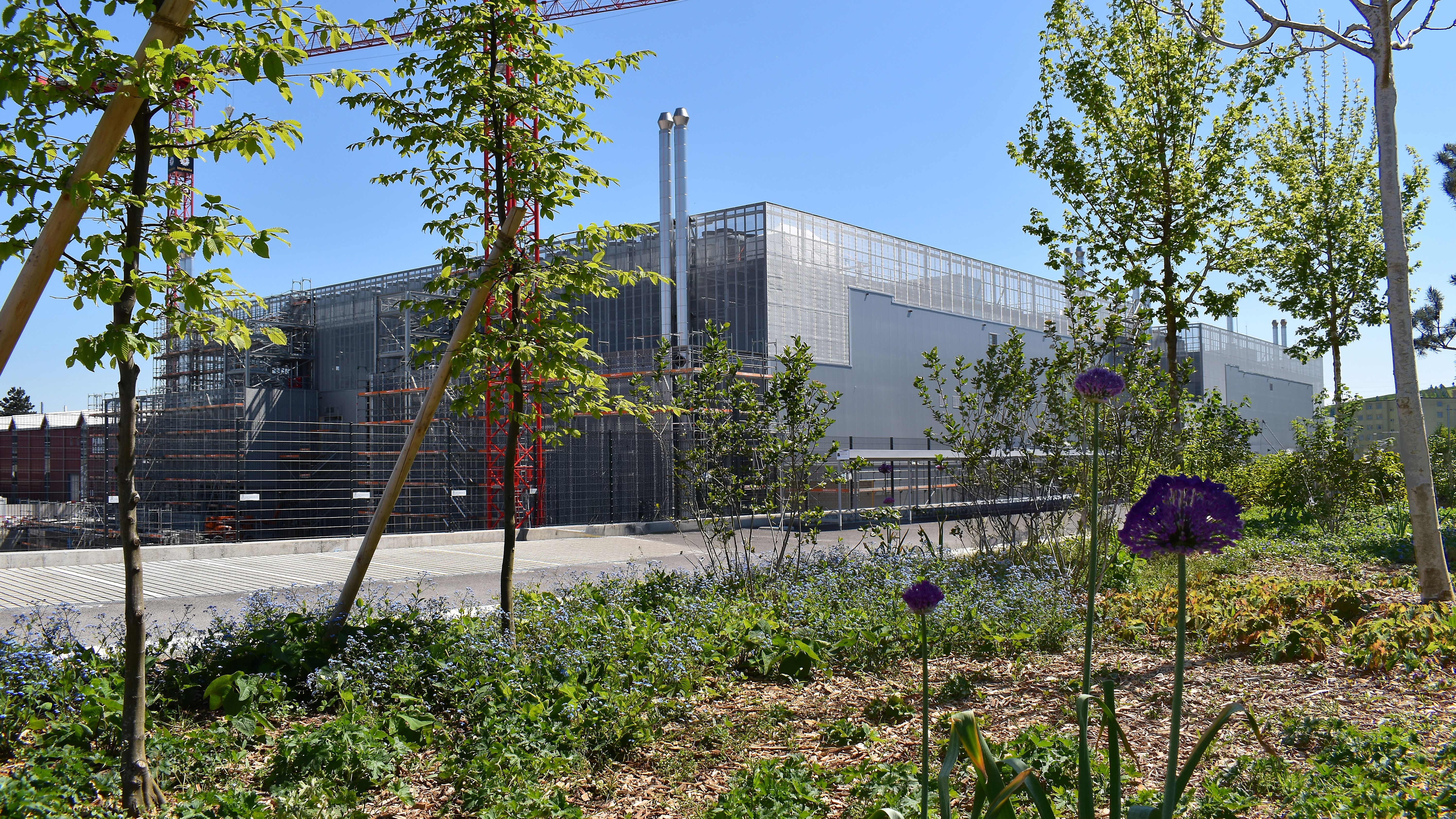 Trees and shrubs surrounding the Datacenter M Metro Campus Zurich.
