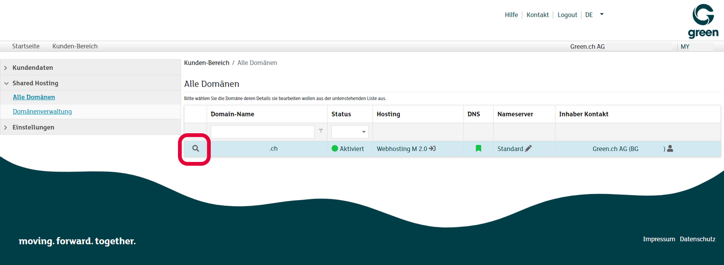 my.green.ch - Shared Hosting - Alle Domänen - Lupensymbol anklicken