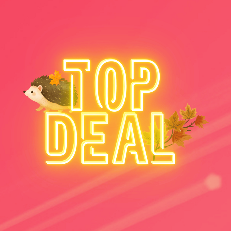 Top-Deal-Herbstaktion von green.ch mit Igel und bunten Herbstblättern auf pinkem Hintergrund.