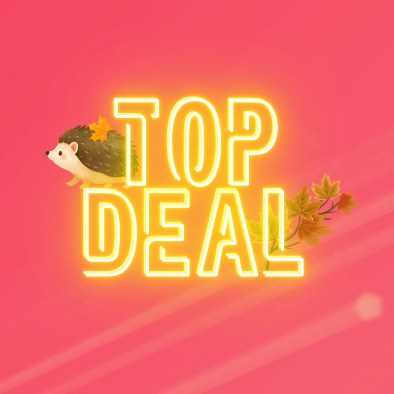 Top-Deal-Herbstaktion von green.ch mit Igel und bunten Herbstblättern auf pinkem Hintergrund.