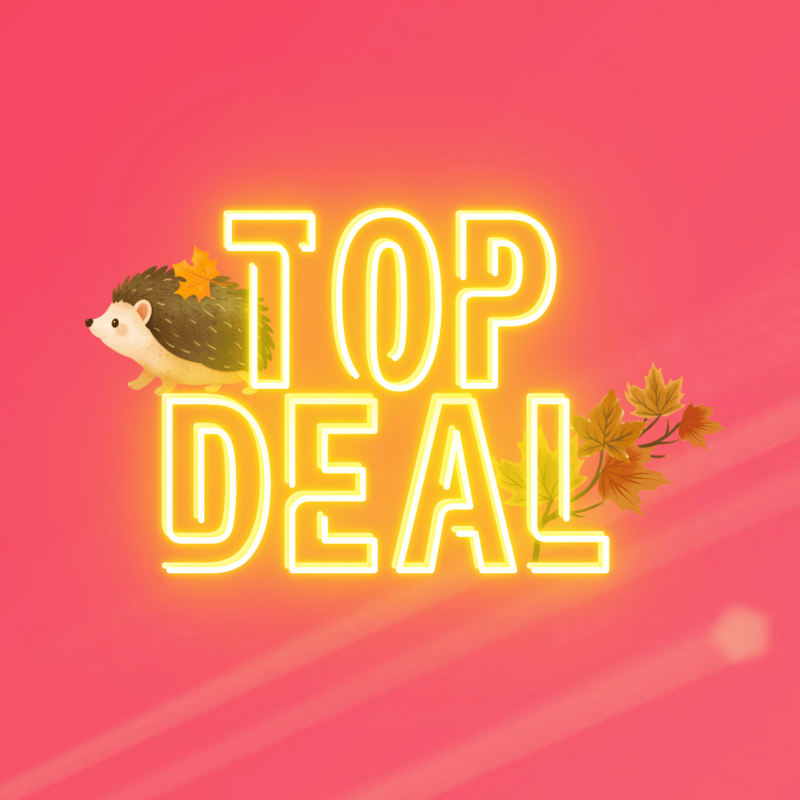 Top-Deal-Herbstaktion von green.ch mit Igel und bunten Herbstblättern auf pinkem Hintergrund.