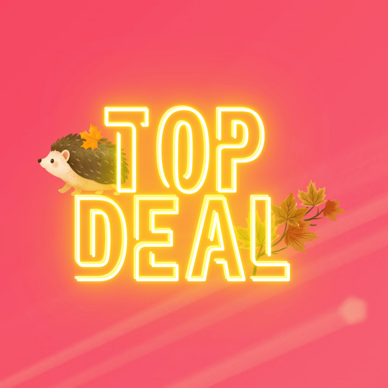 Top-Deal-Herbstaktion von green.ch mit Igel und bunten Herbstblättern auf pinkem Hintergrund.