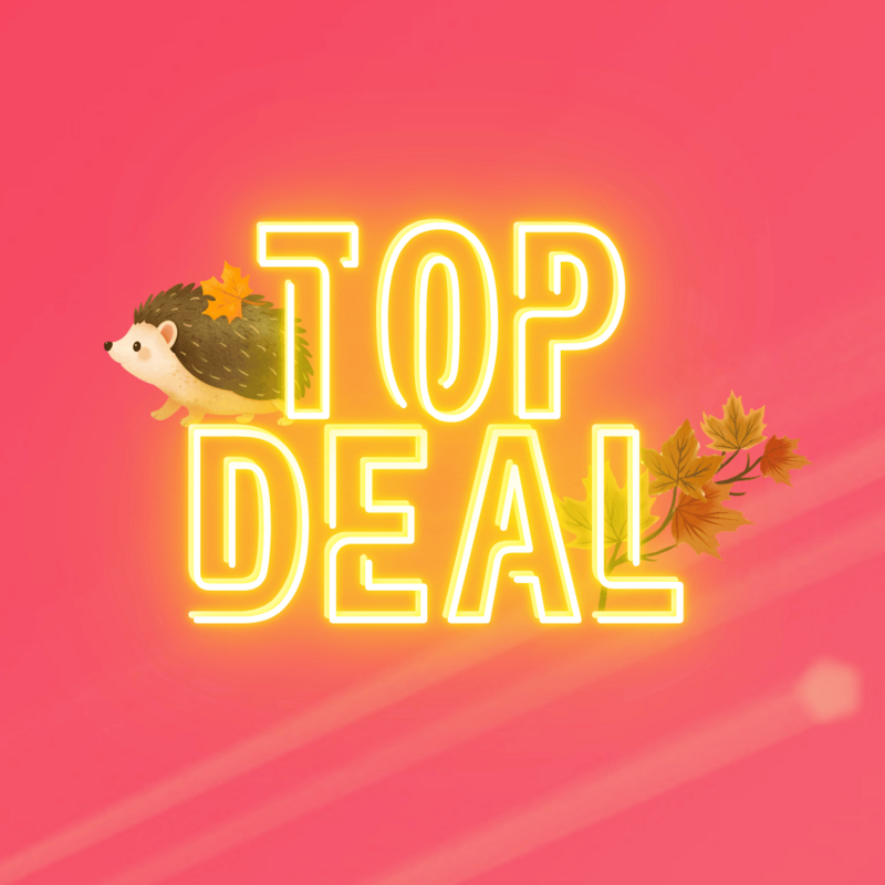 Top-Deal-Herbstaktion von green.ch mit Igel und bunten Herbstblättern auf pinkem Hintergrund.