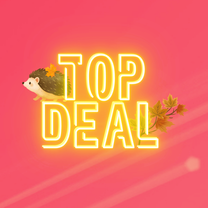 Top-Deal-Herbstaktion von green.ch mit Igel und bunten Herbstblättern auf pinkem Hintergrund.