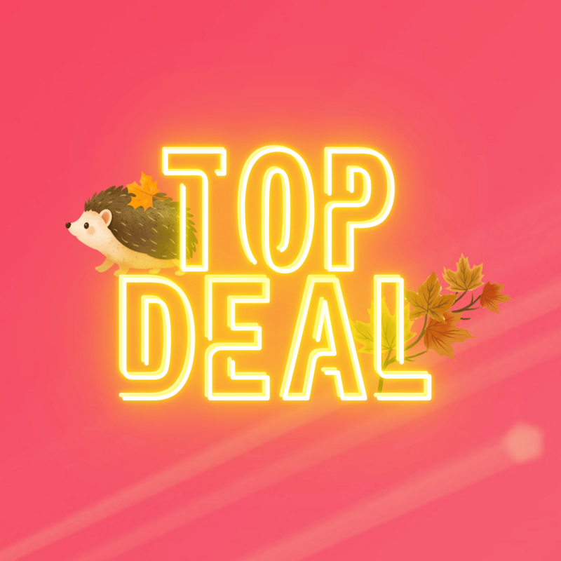 Top-Deal-Herbstaktion von green.ch mit Igel und bunten Herbstblättern auf pinkem Hintergrund.
