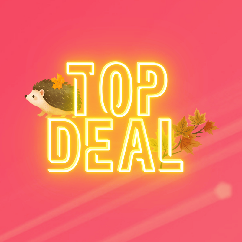 Top-Deal-Herbstaktion von green.ch mit Igel und bunten Herbstblättern auf pinkem Hintergrund.
