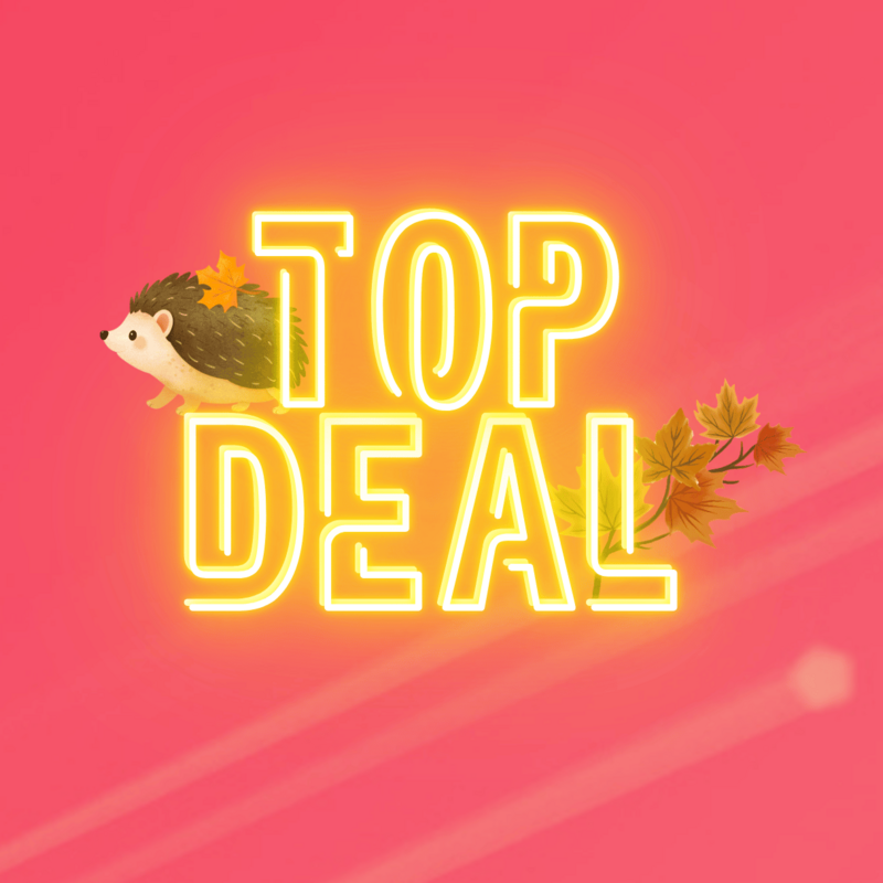 Top-Deal-Herbstaktion von green.ch mit Igel und bunten Herbstblättern auf pinkem Hintergrund.