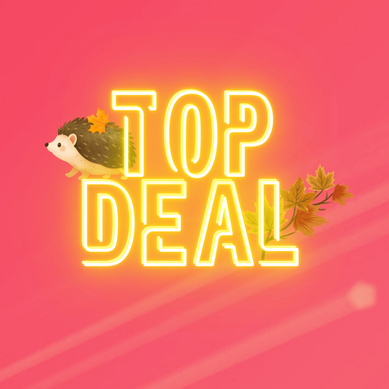 Top-Deal-Herbstaktion von green.ch mit Igel und bunten Herbstblättern auf pinkem Hintergrund.