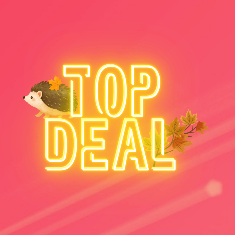 Top-Deal-Herbstaktion von green.ch mit Igel und bunten Herbstblättern auf pinkem Hintergrund.