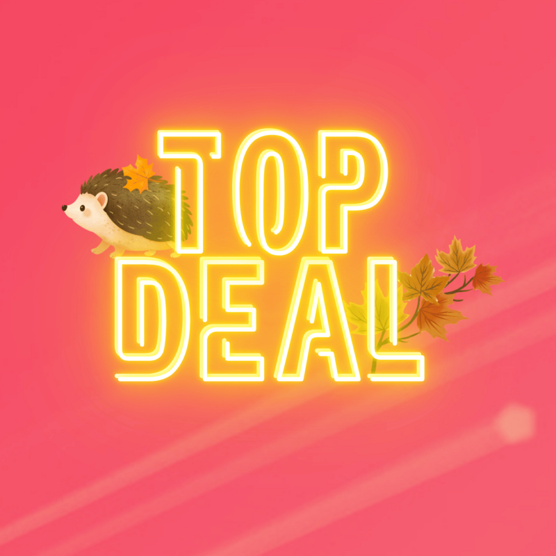 Top-Deal-Herbstaktion von green.ch mit Igel und bunten Herbstblättern auf pinkem Hintergrund.