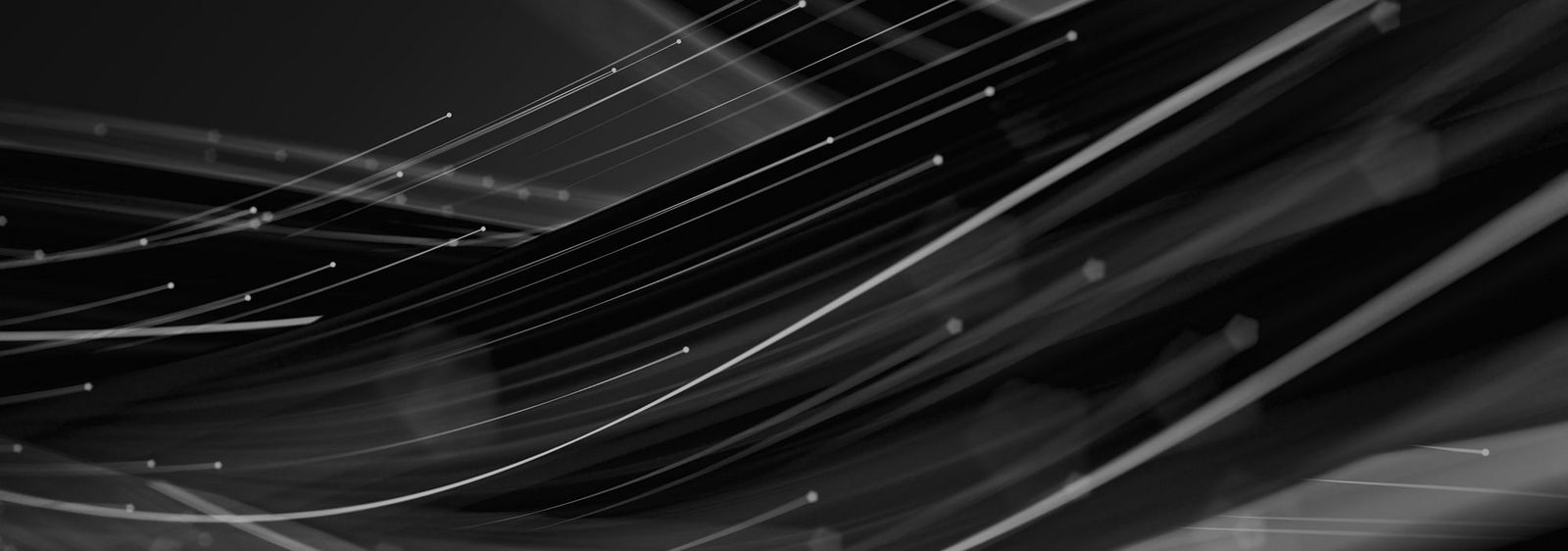 Black Weeks Aktion bei Green