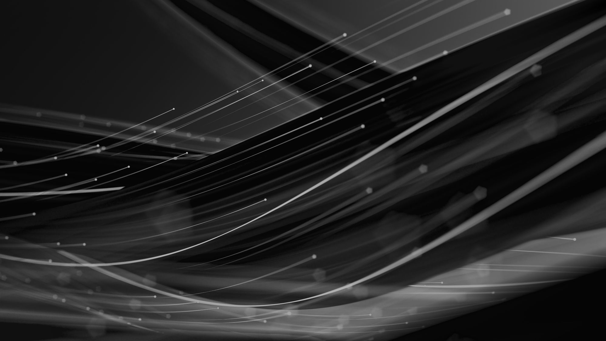 Black Weeks Aktion bei Green