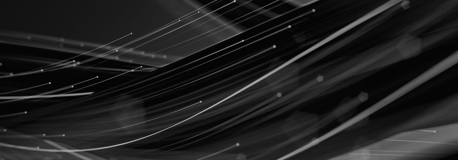 Black Weeks Aktion bei Green