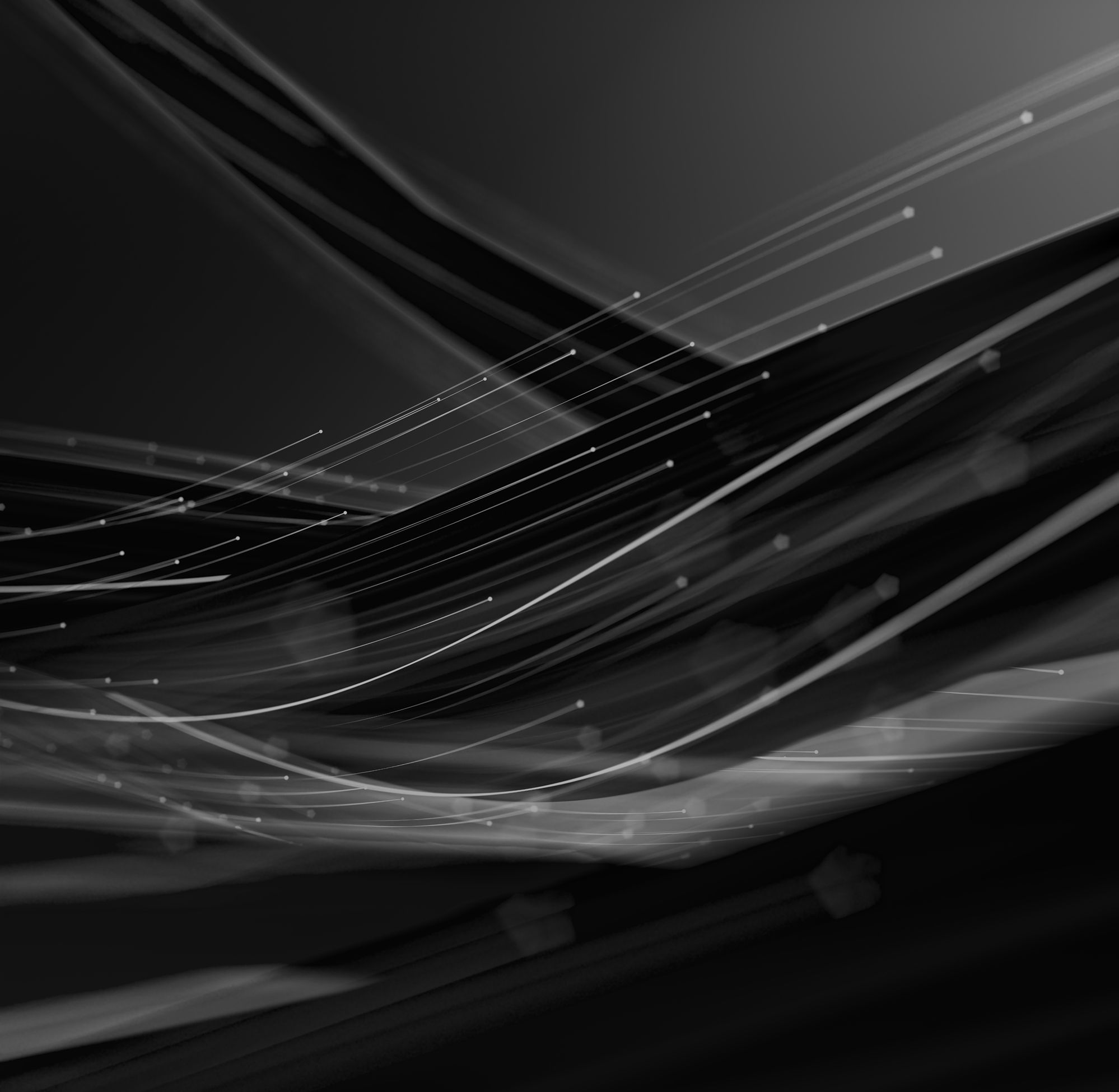 Black Weeks Aktion bei Green