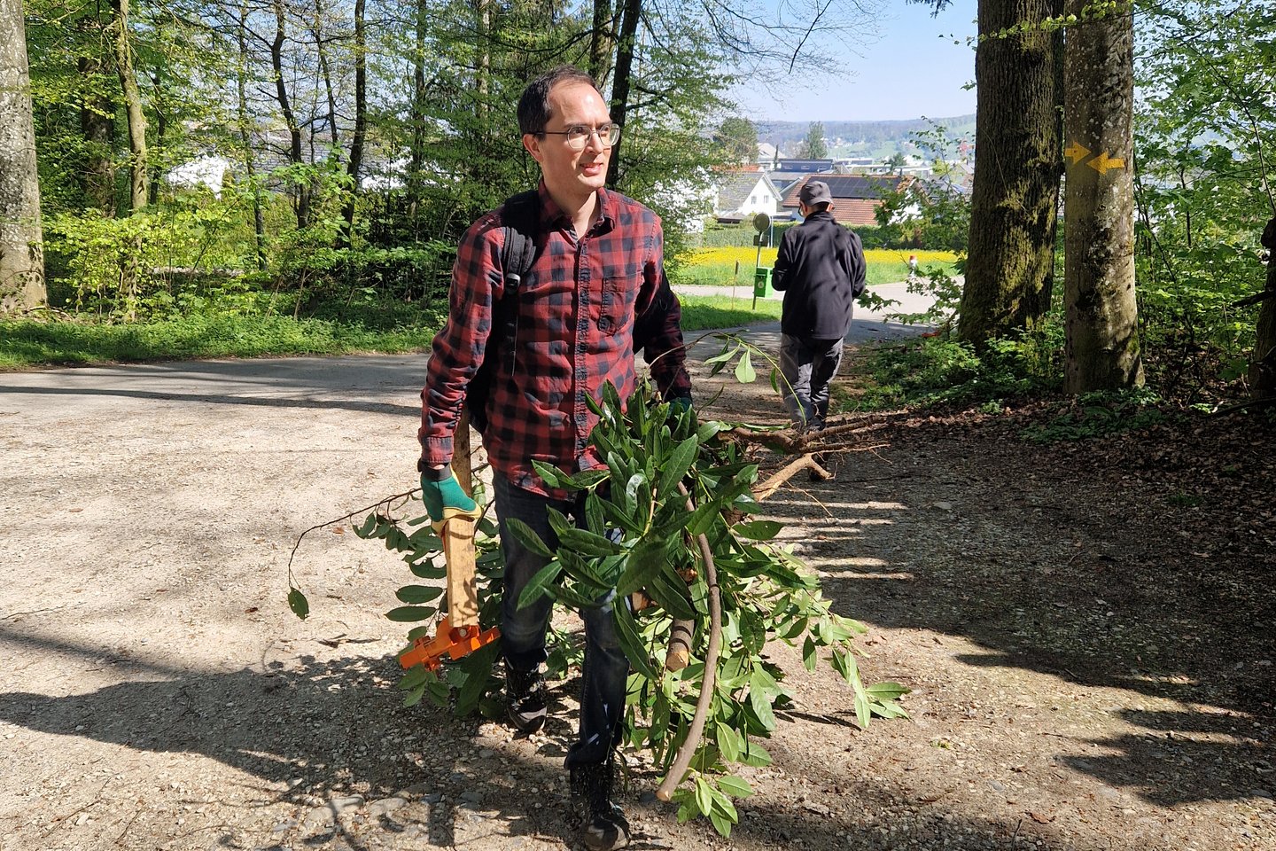 Mitarbeiter von Green an Waldarbeitstag