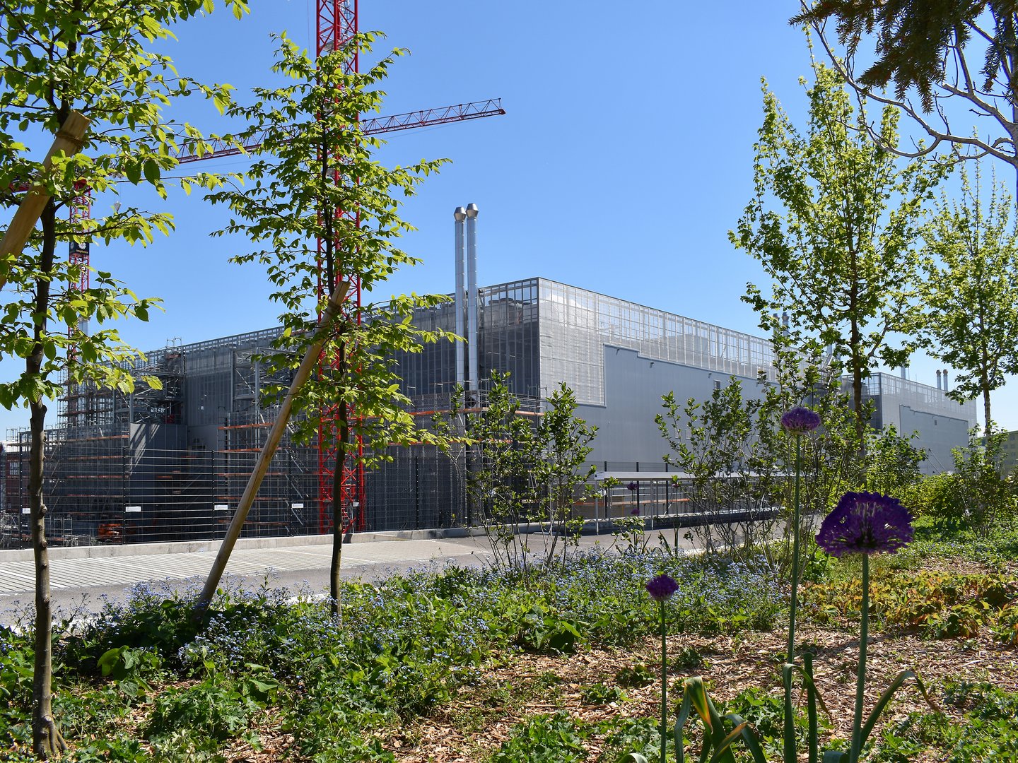 Trees and shrubs surrounding the Datacenter M Metro Campus Zurich.