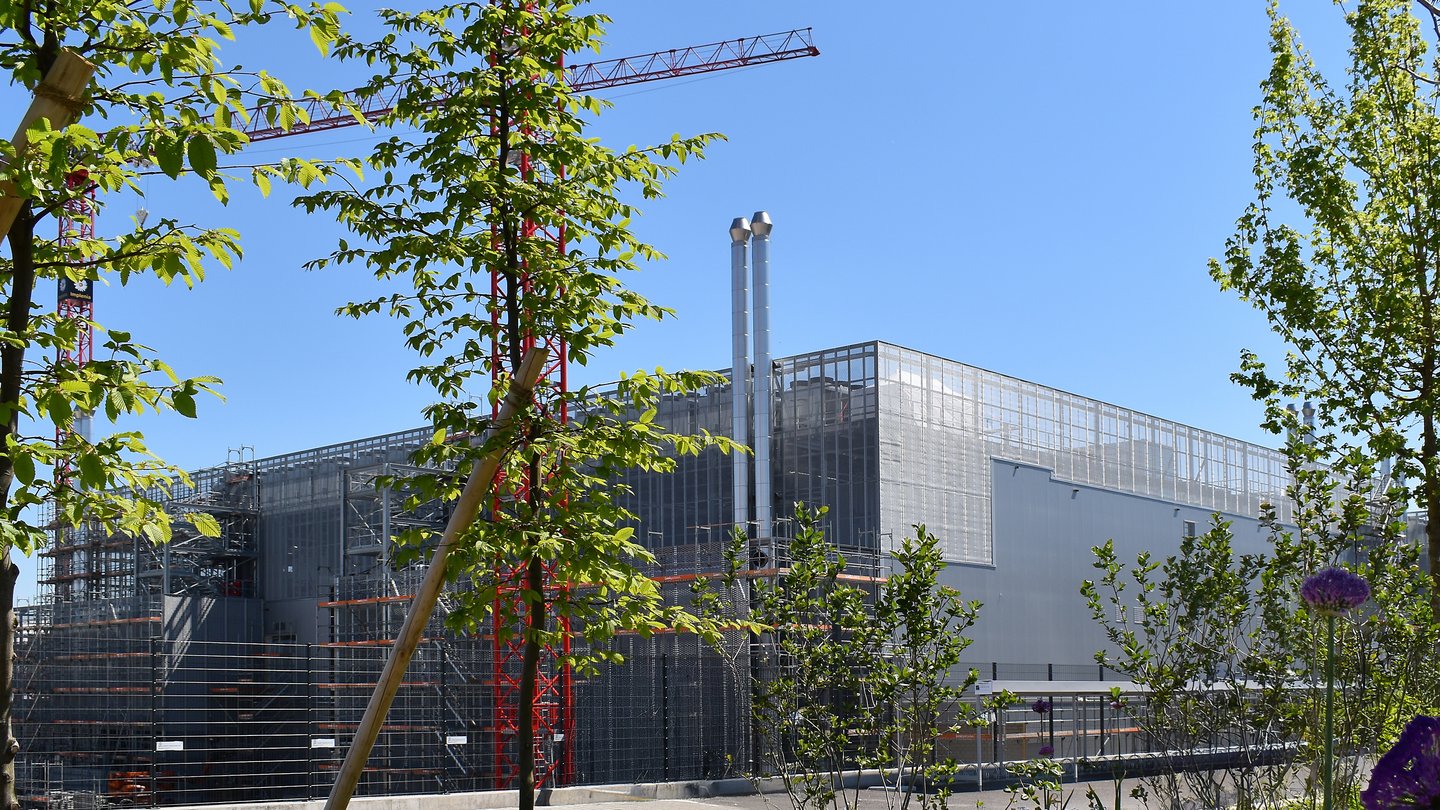 Datacenter M Metro Campus Zürich begrünt