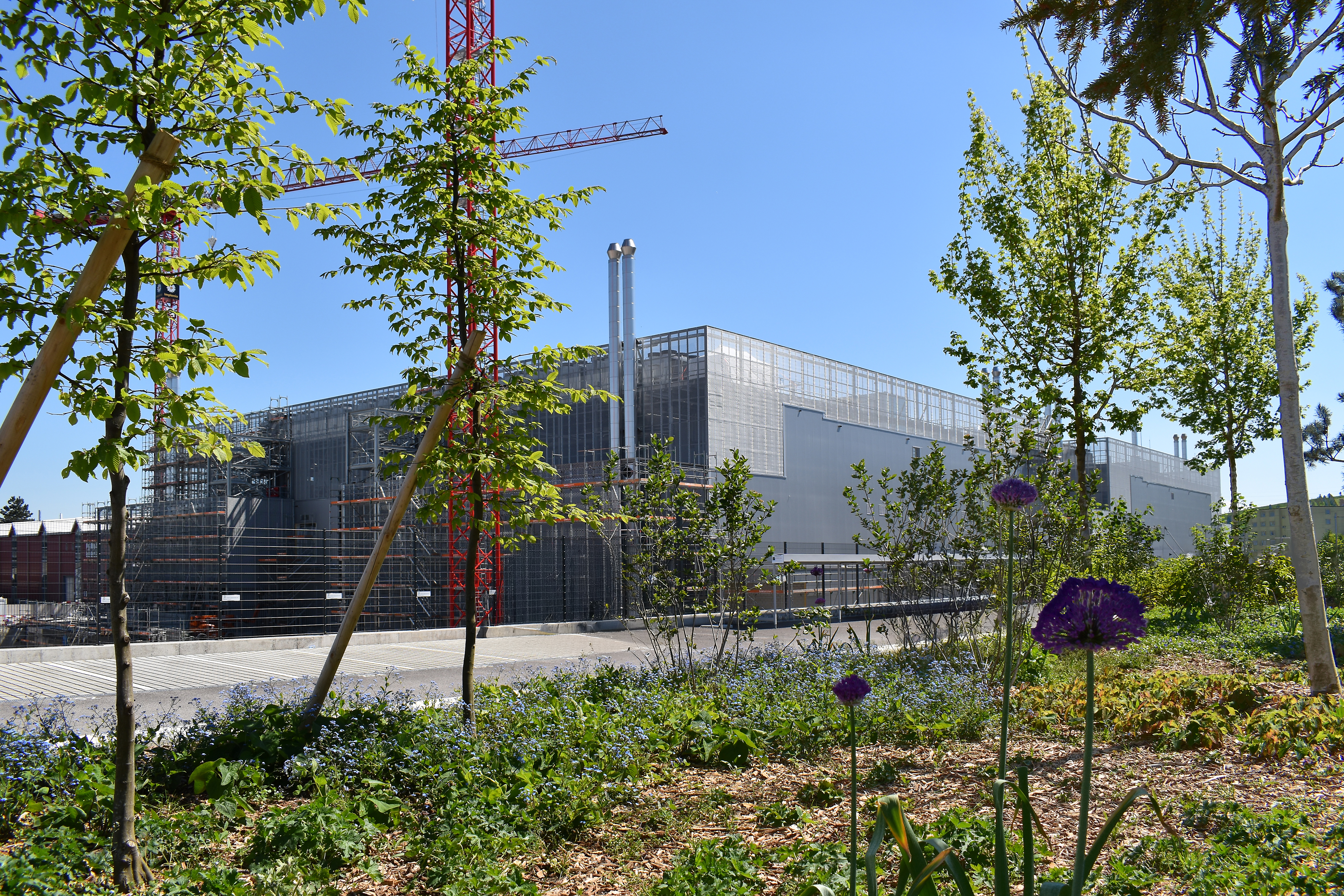 Datacenter M Metro Campus Zürich begrünt